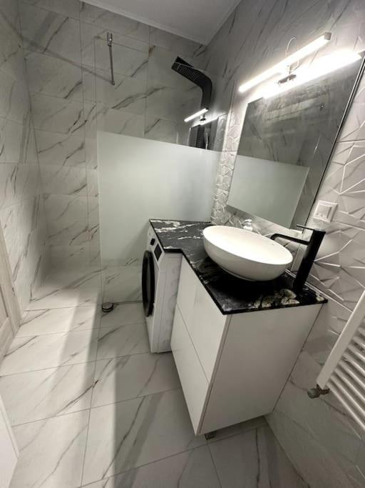 Central River Apartment Kluż-Napoka Zewnętrze zdjęcie