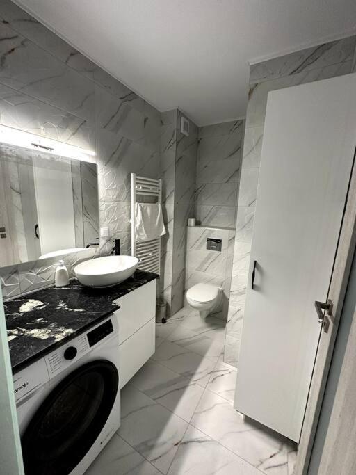 Central River Apartment Kluż-Napoka Zewnętrze zdjęcie