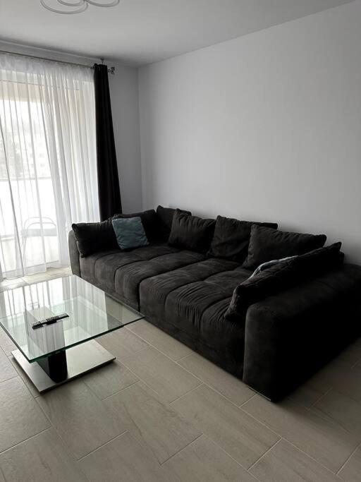 Central River Apartment Kluż-Napoka Zewnętrze zdjęcie