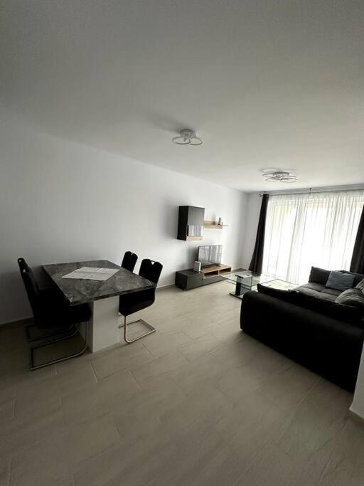 Central River Apartment Kluż-Napoka Zewnętrze zdjęcie