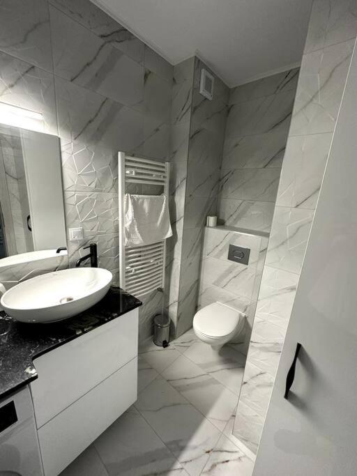 Central River Apartment Kluż-Napoka Zewnętrze zdjęcie